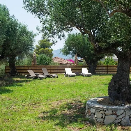 Holiday home Oliva - Ideal For Families Close To Zakynthos Town